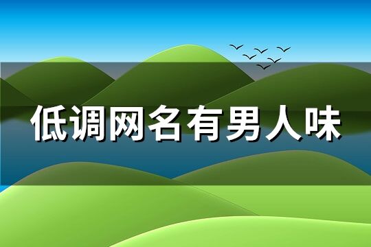 低调网名有男人味(232个)