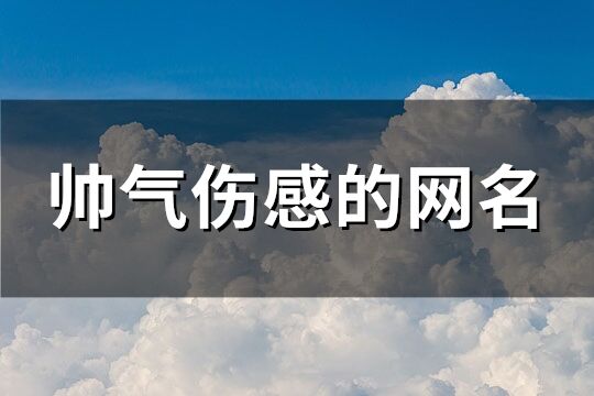 帅气伤感的网名(优选298个)