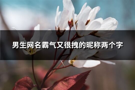 男生网名霸气超拽高冷吸引人