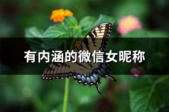 有内涵的微信女昵称(优选272个)