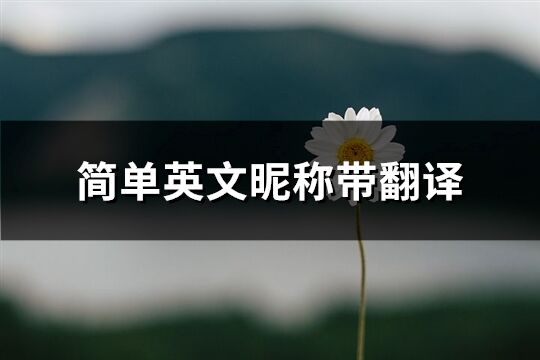 简单英文昵称带翻译(优选194个)