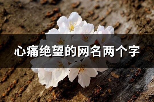 心痛绝望的网名两个字(共179个)