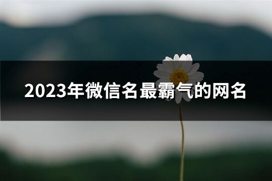 2023年微信名最霸气的网名(优选168个)