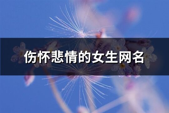 伤怀悲情的女生网名(优选316个)