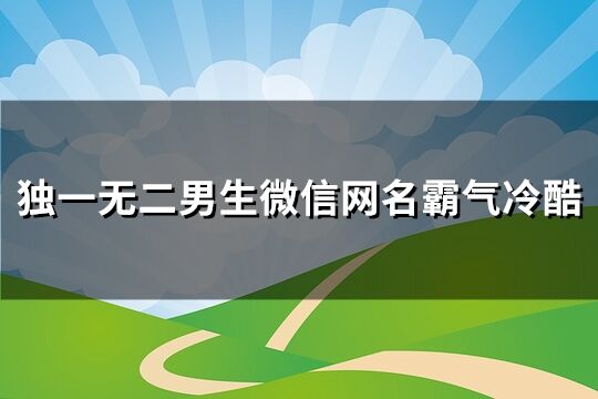 独一无二男生微信网名霸气冷酷(优选295个)