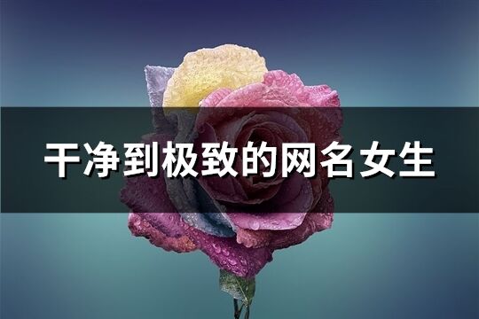 干净到极致的网名女生(优选155个)