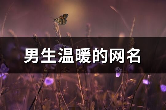 男生温暖的网名(226个)