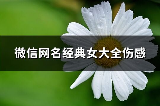 微信网名经典女大全伤感(共234个)