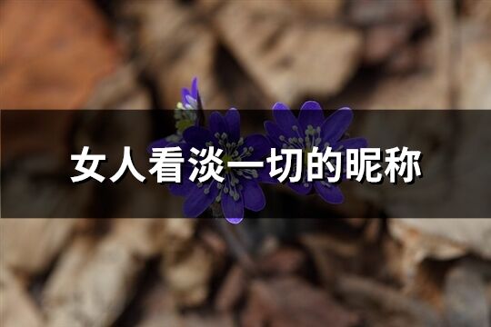 女人看淡一切的昵称(179个)