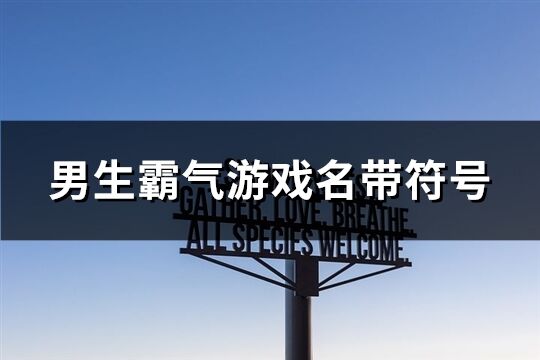 男生霸气游戏名带符号(优选116个)