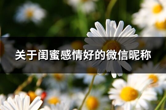 关于闺蜜感情好的微信昵称(优选81个)