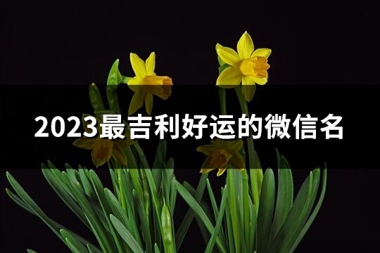 2023最吉利好运的微信名(精选5465个)