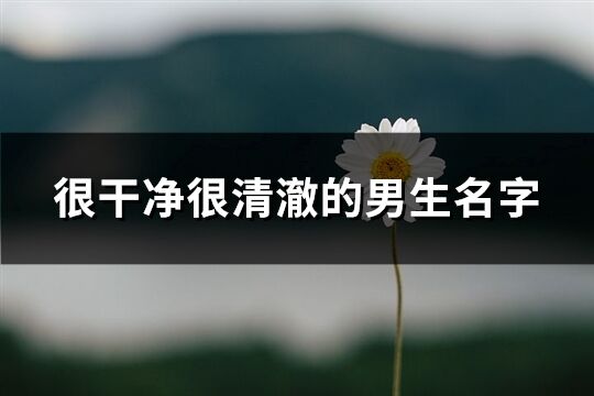 很干净很清澈的男生名字(221个)