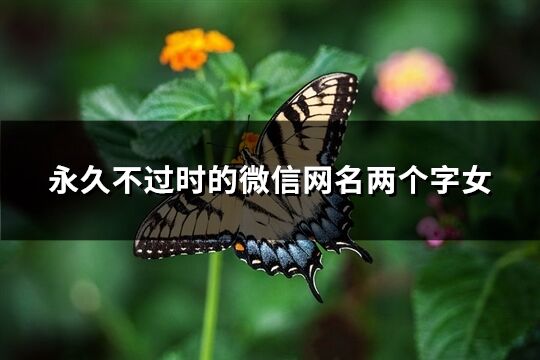 永久不过时的微信网名两个字女(优选587个)