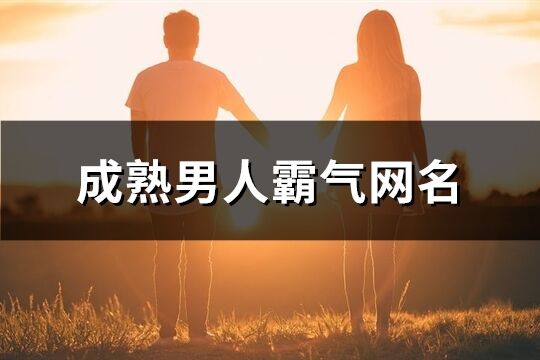 成熟男人霸气网名(291个)