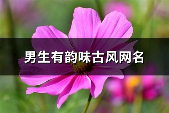 男生有韵味古风网名(优选386个)