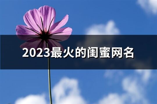 2023最火的闺蜜网名(120个)