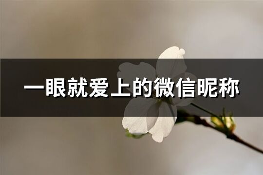 一眼就爱上的微信昵称(共392个)