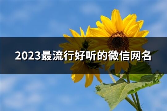 2023最流行好听的微信网名(优选819个)