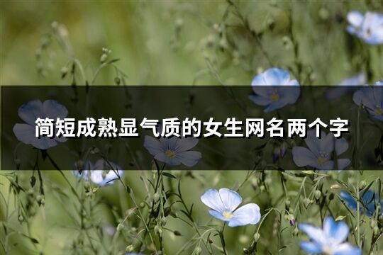 简短成熟显气质的女生网名两个字(共254个)