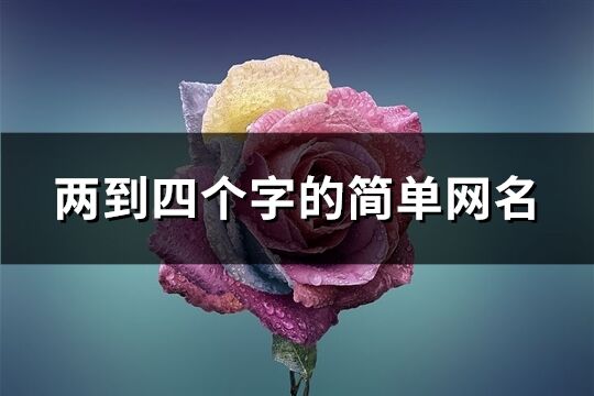 两到四个字的简单网名(592个)