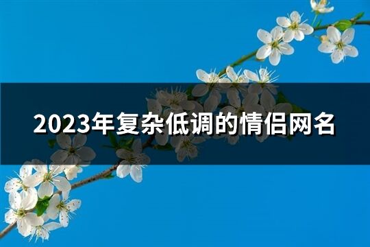 2023年复杂低调的情侣网名(364个)