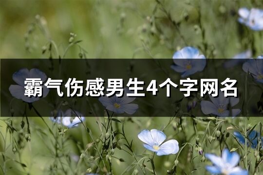 霸气伤感男生4个字网名(共847个)