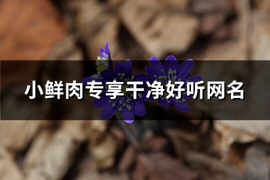 小鲜肉专享干净好听网名(共233个)