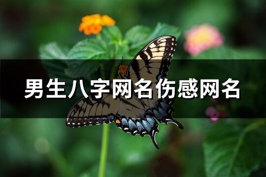 男生八字网名伤感网名(精选218个)