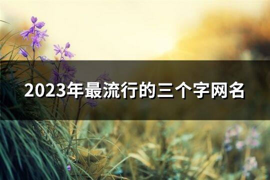 2023年最流行的三个字网名(精选903个)