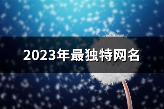 2023年最独特网名(541个)