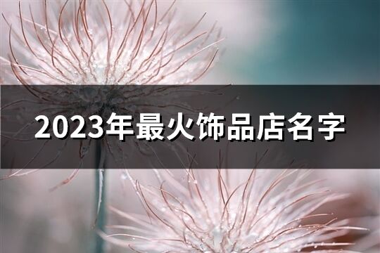 2023年最火饰品店名字(94个)