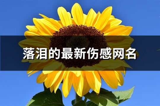 落泪的最新伤感网名(优选506个)