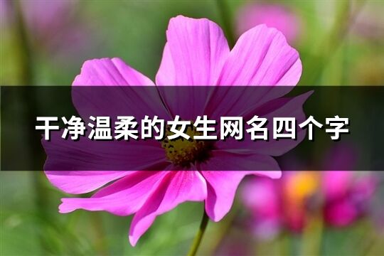 干净温柔的女生网名四个字(共372个)