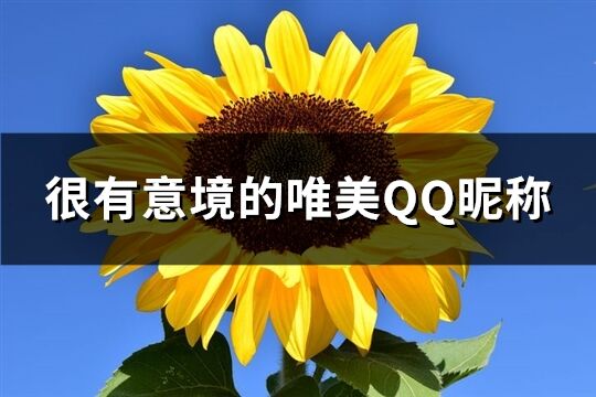 很有意境的唯美QQ昵称(共165个)