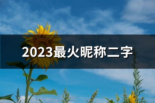 2023最火昵称二字(优选539个)