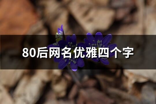 80后网名优雅四个字(共575个)