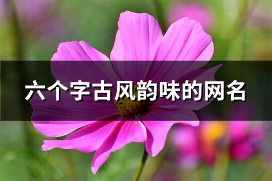 六个字古风韵味的网名(共940个)