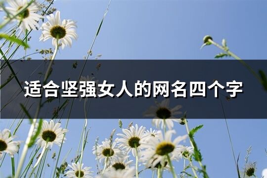 适合坚强女人的网名四个字(240个)