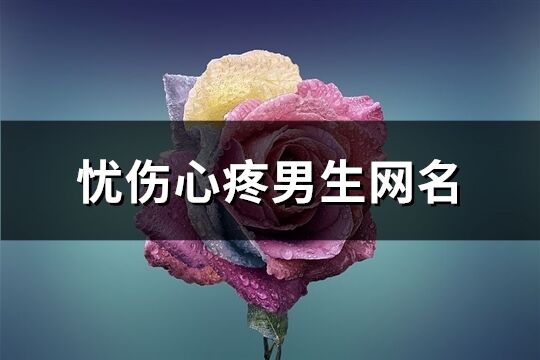 忧伤心疼男生网名(优选372个)