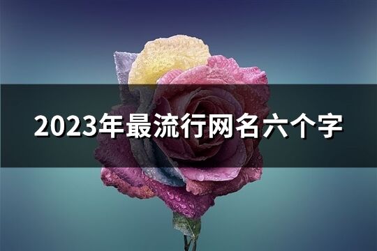 2023年最流行网名六个字(共771个)