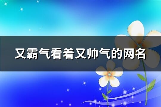 又霸气看着又帅气的网名(共656个)