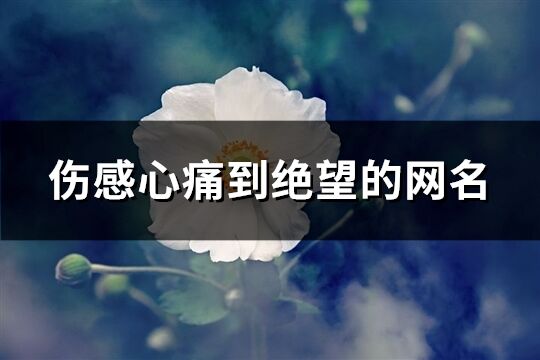 伤感心痛到绝望的网名(优选490个)