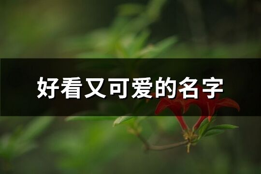 好看又可爱的名字(精选669个)