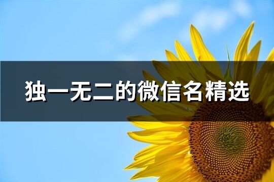 独一无二的微信名精选(2134个)