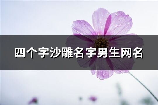 四个字沙雕名字男生网名(共709个)