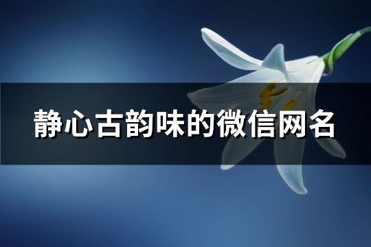 静心古韵味的微信网名(87个)