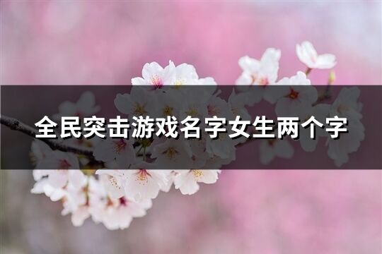 全民突击游戏名字女生两个字(334个)