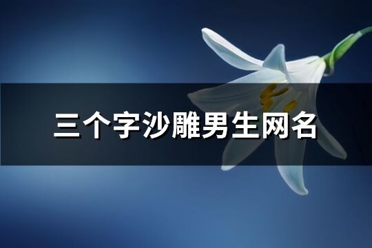 三个字沙雕男生网名(优选354个)