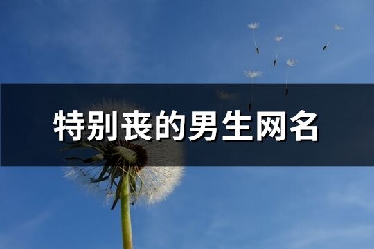 特别丧的男生网名(共133个)